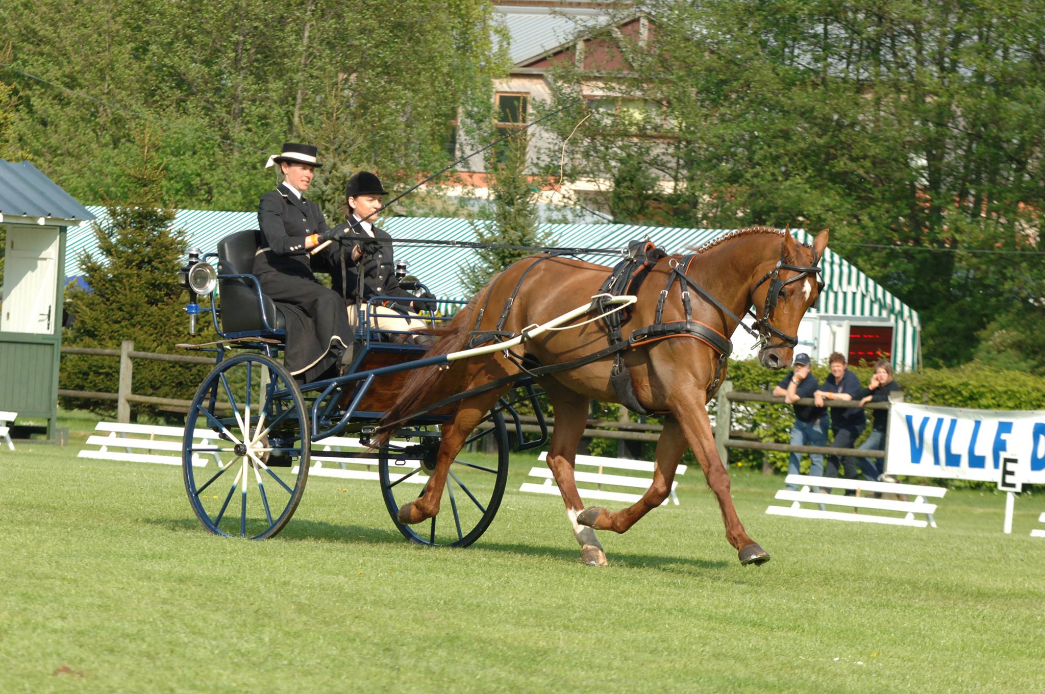 Lucie Pascaud-Pitois (Lucie Pitois) - Horse Driving